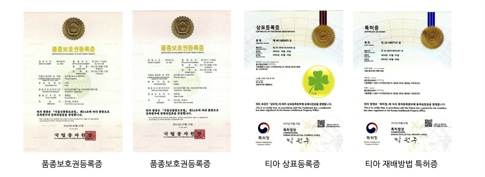 Foodclover certificates — plant variety rights, trademark, patent