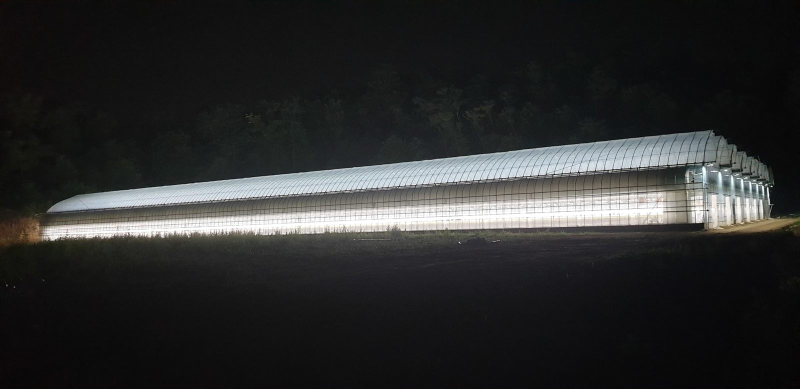 Foodclover smart farm at night