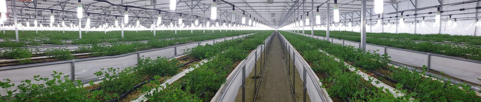 Foodclover smart farm interior