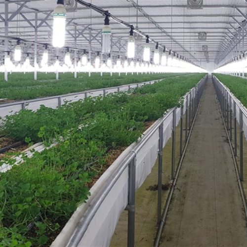 Foodclover smart farm cultivation beds